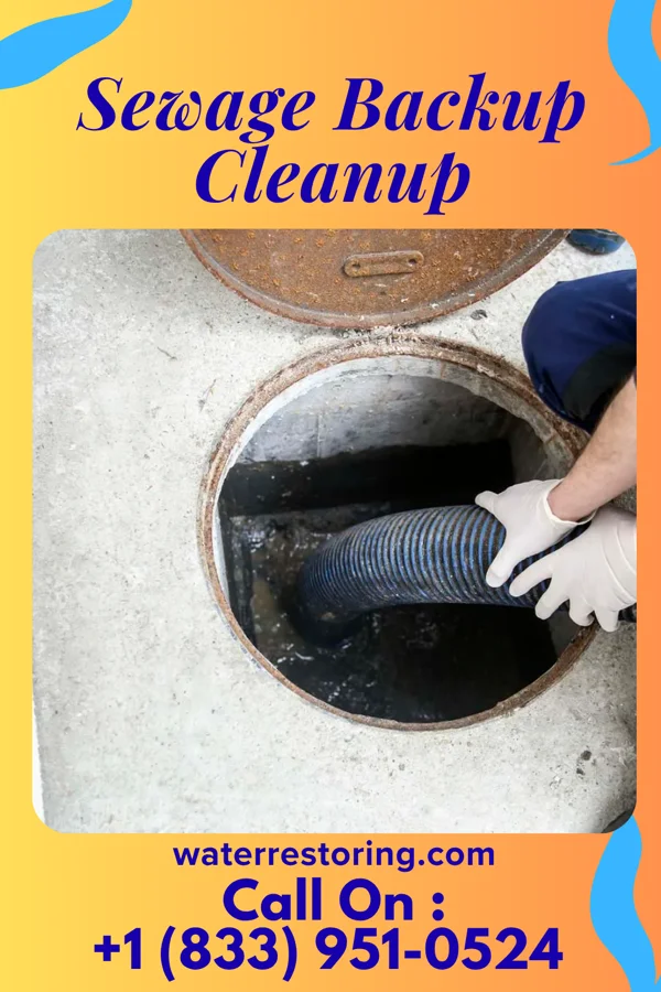Sewage Backup Cleanup in Laclede, MO